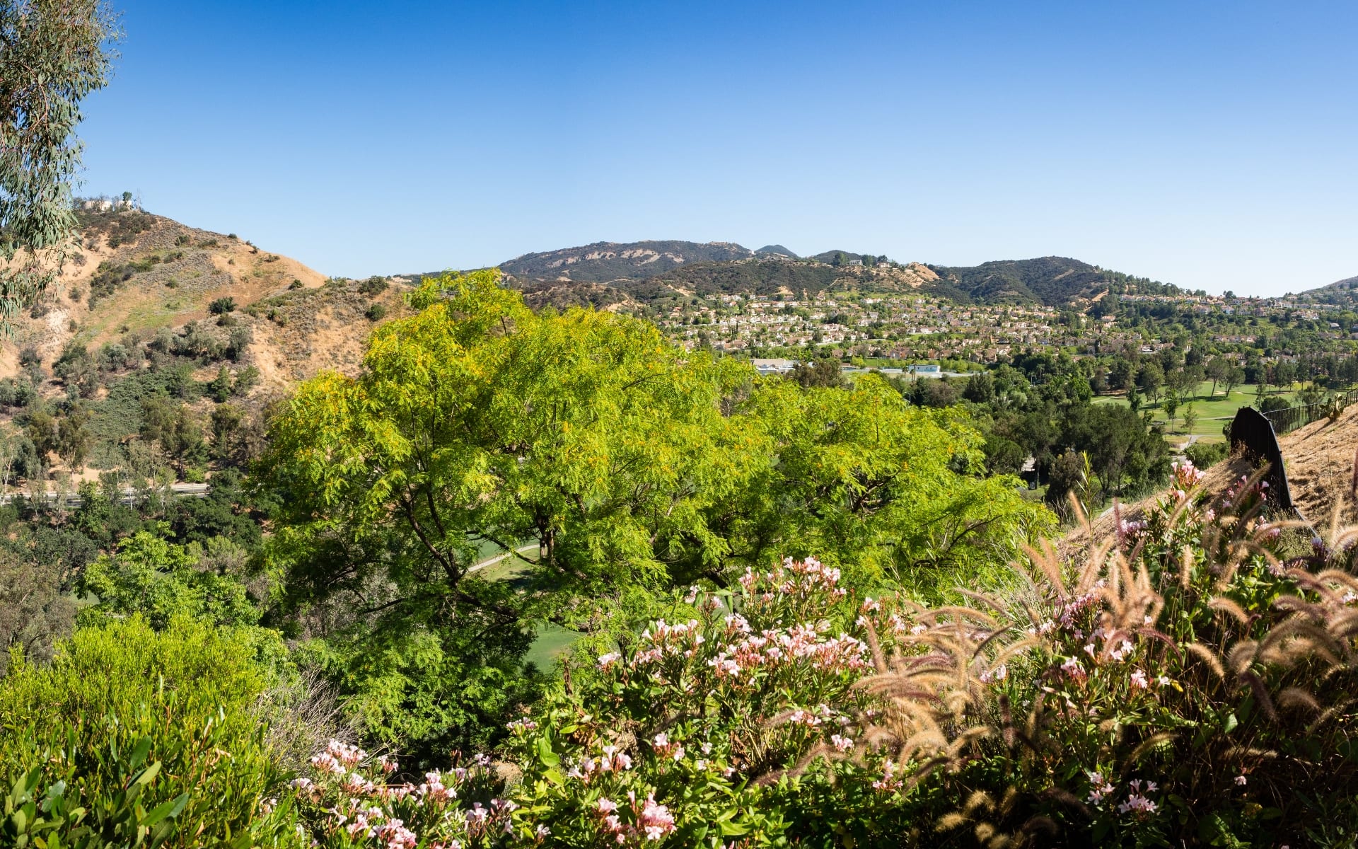 hiltonhyland