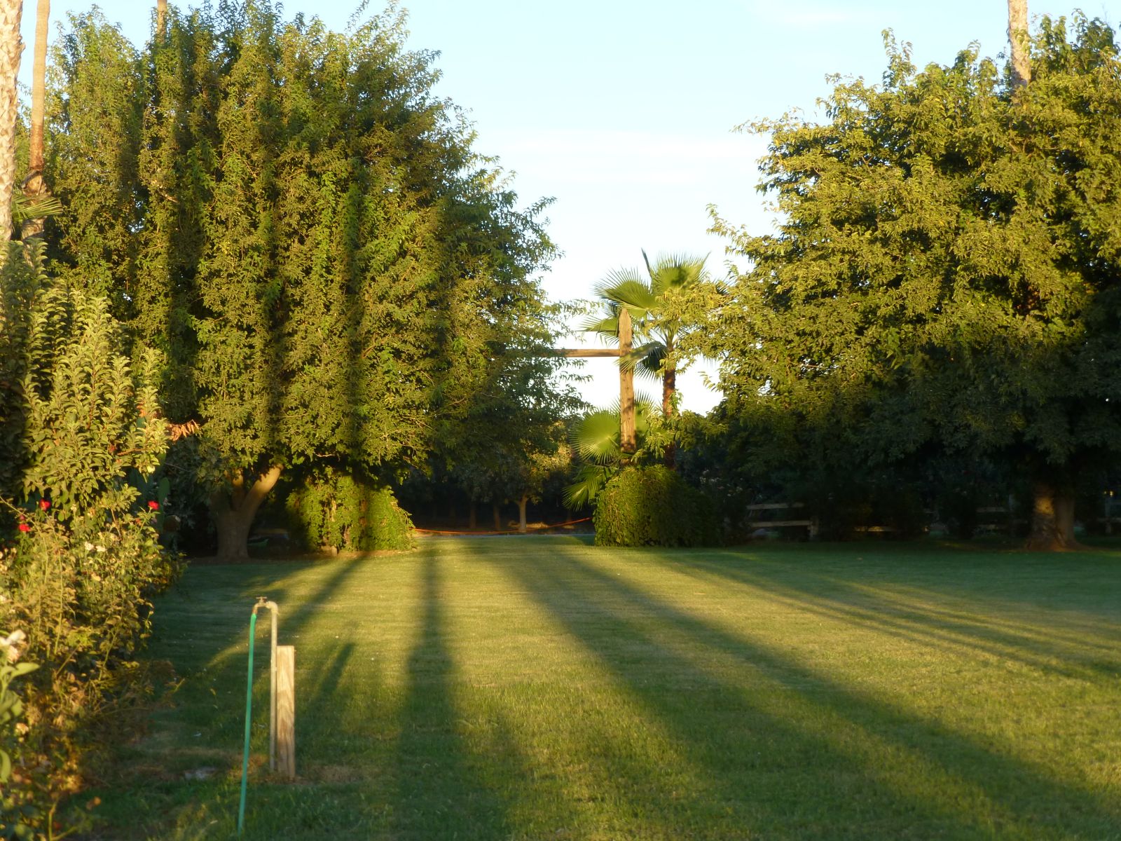 listing-img